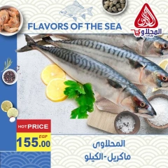 Página 6 en Ofertas de pescado en Mercado El Mahlawy Egipto