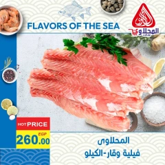 Página 8 en Ofertas de pescado en Mercado El Mahlawy Egipto