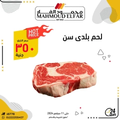 Página 2 en Oferta especial en Mahmoud Elfar Egipto