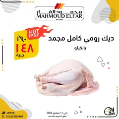 Página 4 en Oferta especial en Mahmoud Elfar Egipto