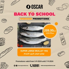 Página 1 en Ofertas de fin de semana en Tiendas Oscar Egipto