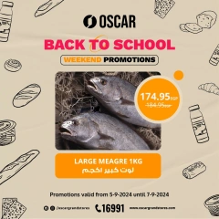 Página 4 en Ofertas de fin de semana en Tiendas Oscar Egipto