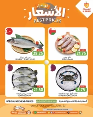 Page 10 in best price at Souq Al Baladi Qatar