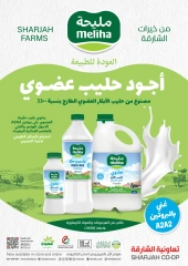 Page 32 in Amazing Deals at Sharjah Cooperative UAE