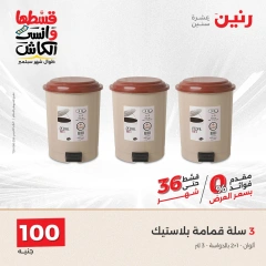 Page 17 in Home Appliances Offers for 100 EGP at Raneen Egypt