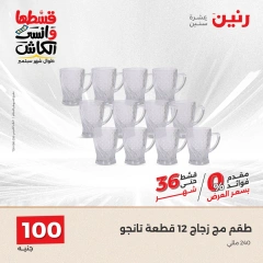 Page 15 in Home Appliances Offers for 100 EGP at Raneen Egypt