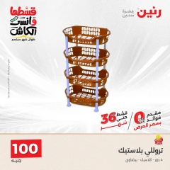 Page 22 in Home Appliances Offers for 100 EGP at Raneen Egypt