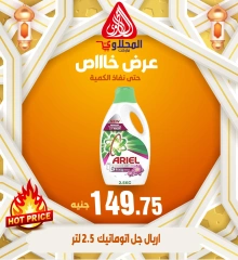 Page 30 in Special Promotion at El Mahlawy market Egypt