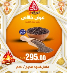 Page 13 in Special Promotion at El Mahlawy market Egypt