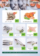 Página 18 en Ofertas de Mawlid al-Nabawi en Mercado Seoudi Egipto