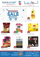 Page 1 in Midweek offers at Trolleys supermarket UAE