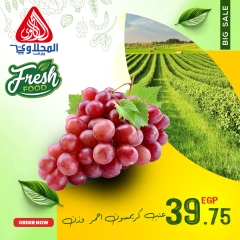 Page 11 in Fresh deals at El Mahlawy market Egypt