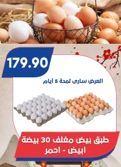 Page 13 in Back to School Deals at Bassem Market Egypt