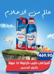 Page 15 in Back to School Deals at Bassem Market Egypt