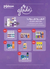 Page 43 in Anniversary Deals at Al Rayah Market Egypt