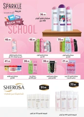 Page 49 in Anniversary Deals at Al Rayah Market Egypt