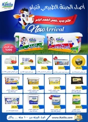 Page 11 in Anniversary Deals at Al Rayah Market Egypt