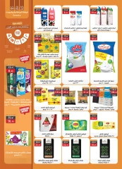 Page 18 in Anniversary Deals at Al Rayah Market Egypt