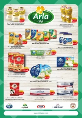 Page 13 in Food Festival Offers at City Hyper Kuwait