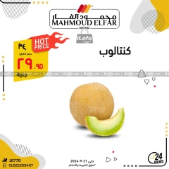 Página 17 en Ofertas del Festival de las Frutas en Mahmoud Elfar Egipto