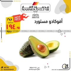 Página 7 en Ofertas del Festival de las Frutas en Mahmoud Elfar Egipto