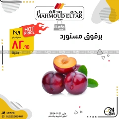 Página 5 en Ofertas del Festival de las Frutas en Mahmoud Elfar Egipto