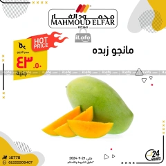 Página 2 en Ofertas del Festival de las Frutas en Mahmoud Elfar Egipto