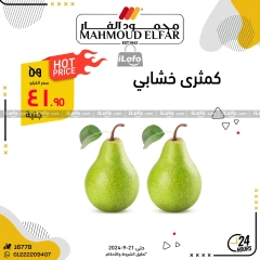 Página 16 en Ofertas del Festival de las Frutas en Mahmoud Elfar Egipto