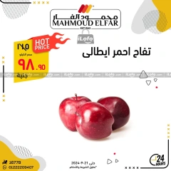 Página 6 en Ofertas del Festival de las Frutas en Mahmoud Elfar Egipto