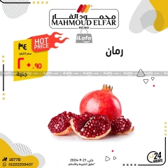 Página 12 en Ofertas del Festival de las Frutas en Mahmoud Elfar Egipto