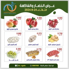 Page 4 in Vegetable and fruit offers at Alegaila co-op Kuwait