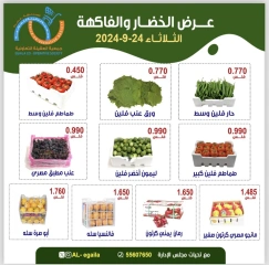 Page 3 in Vegetable and fruit offers at Alegaila co-op Kuwait