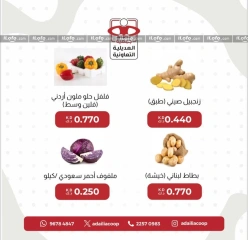 Page 5 in Vegetable and fruit offers at Adiliya coop Kuwait