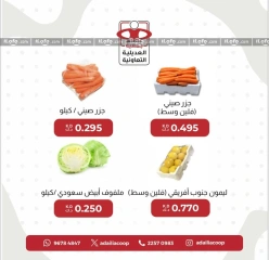 Page 4 in Vegetable and fruit offers at Adiliya coop Kuwait