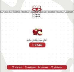 Page 13 in Vegetable and fruit offers at Adiliya coop Kuwait