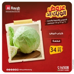 Page 3 in Weekend Deals at Al Rayah Market Egypt