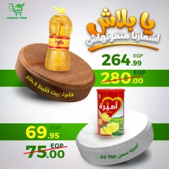 Página 9 en Ofertas de fin de semana en Green Tree Egipto