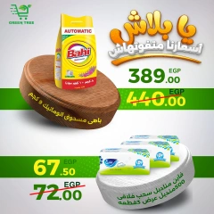 Página 12 en Ofertas de fin de semana en Green Tree Egipto