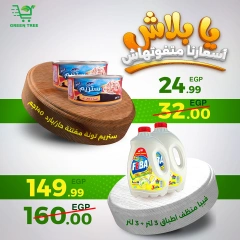 Página 11 en Ofertas de fin de semana en Green Tree Egipto