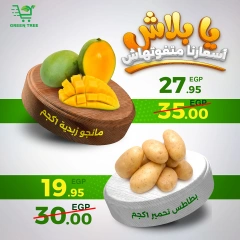 Página 3 en Ofertas de fin de semana en Green Tree Egipto