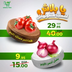 Página 2 en Ofertas de fin de semana en Green Tree Egipto