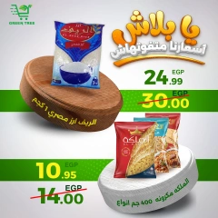 Página 8 en Ofertas de fin de semana en Green Tree Egipto