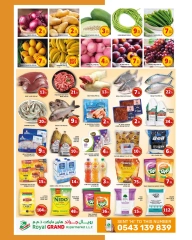 Page 2 in Big Shopping Days at Royal Grand Hypermarket UAE