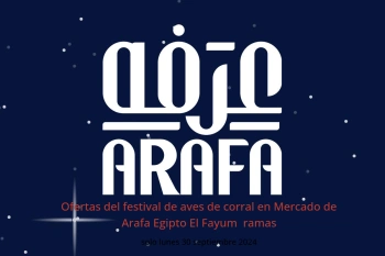 Ofertas del festival de aves de corral en Mercado de Arafa  El Fayum  solo lunes 30 septiembre