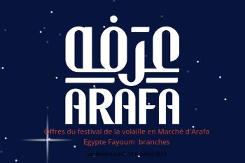 Offres du festival de la volaille en Marché d'Arafa  Fayoum  seulement lundi 14 octobre