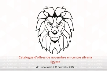 Catalogue d'offres de novembre en centre silvana Egypte de 1 à 30 novembre