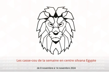 Les casse-cou de la semaine en centre silvana Egypte de 8 à 14 novembre