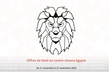 Offres de Noël en centre silvana Egypte de 21 à 27 novembre