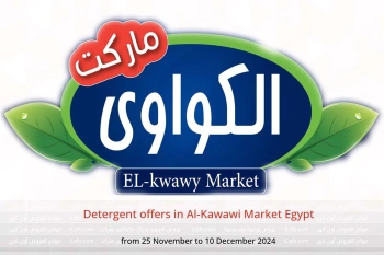 Detergent offers in Al-Kawawi Market Egypt from 25 November to 10 December