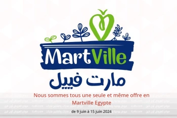 Nous sommes tous une seule et même offre en Martville Egypte de 9 à 15 juin